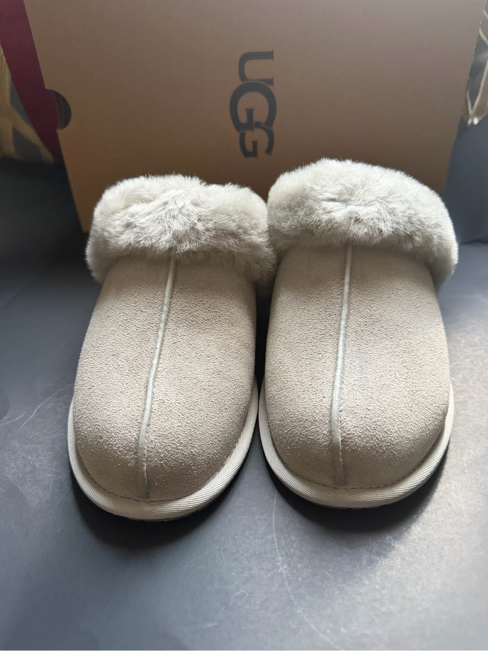 UGG Cozy Shearling Clog Slippers in Light Beige